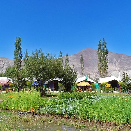 Tiger Camp Nubra Ξενοδοχείο Εξωτερικό φωτογραφία